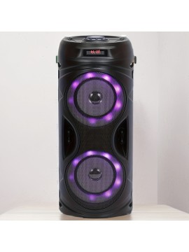 Large Wireless Speaker with Bass Boombox, Stereo Sound, TWS, TF Card Support - Portable Outdoor Speaker for TV, PC, Smartphone, and More - USB-C Charging, No Battery Included, Party Disco Light Feature, Outdoor Wireless Speaker | Modern Speaker Design | USB Charging Speaker