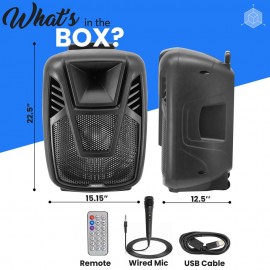 Wireless BT Streaming PA Karaoke Speaker