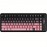 M75 Gaming Keyboard, RGB Backlit Small Membrane Keyboard with Smart Display & Knob, PBT Gradient Keycaps for PC, MAC