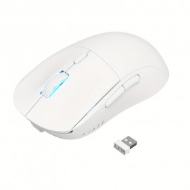 AJ199 Wireless Gaming Mouse, 59G Ultra Lightwieght-Huanuo Micro Switch-26K PAW3395 Sensor-40Hrs Battery Life-2.4G/USB-C Mouse Gaming -Wireless Computer Mouse 6 Programmable Buttons, 100% PTFE Feet